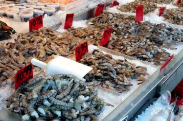 Mercado de mariscos, una guía para escoger los más frescos