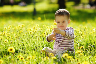 bebé sentado en campo de flores