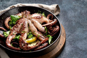 pulpo enamorado